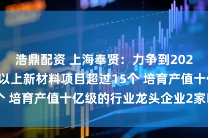 浩鼎配资 上海奉贤：力争到2027年新引进亿元以上新材料项目超过15个 培育产值十亿级的行业龙头企业2家以上